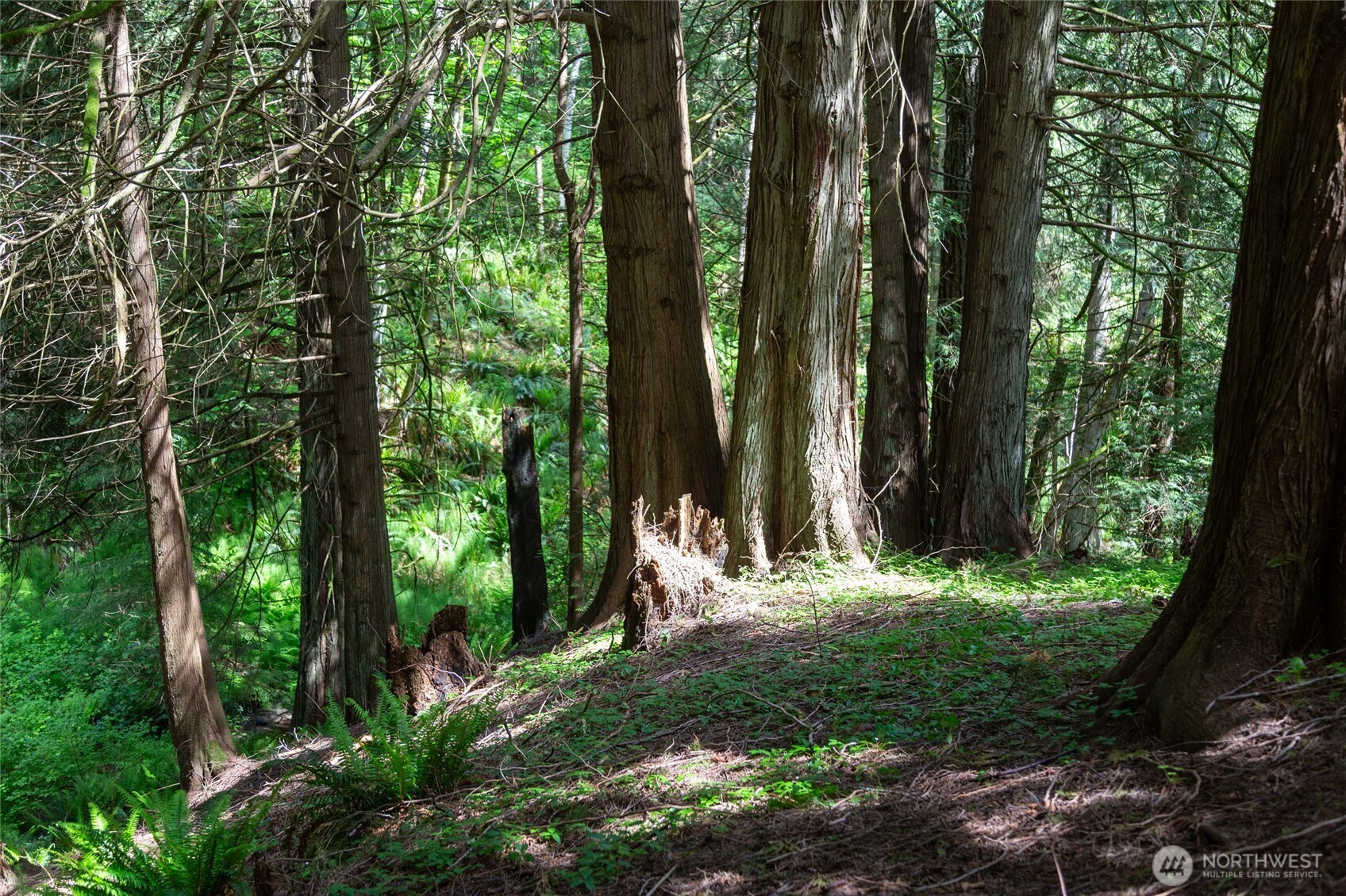 60 Miller Road Friday Harbor, WA 98250 - Photo 27 of 35