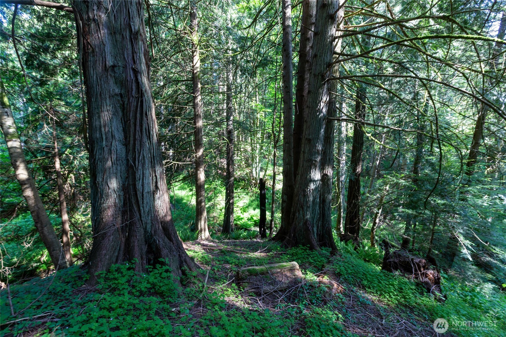 60 Miller Road Friday Harbor, WA 98250 - Photo 28 of 35