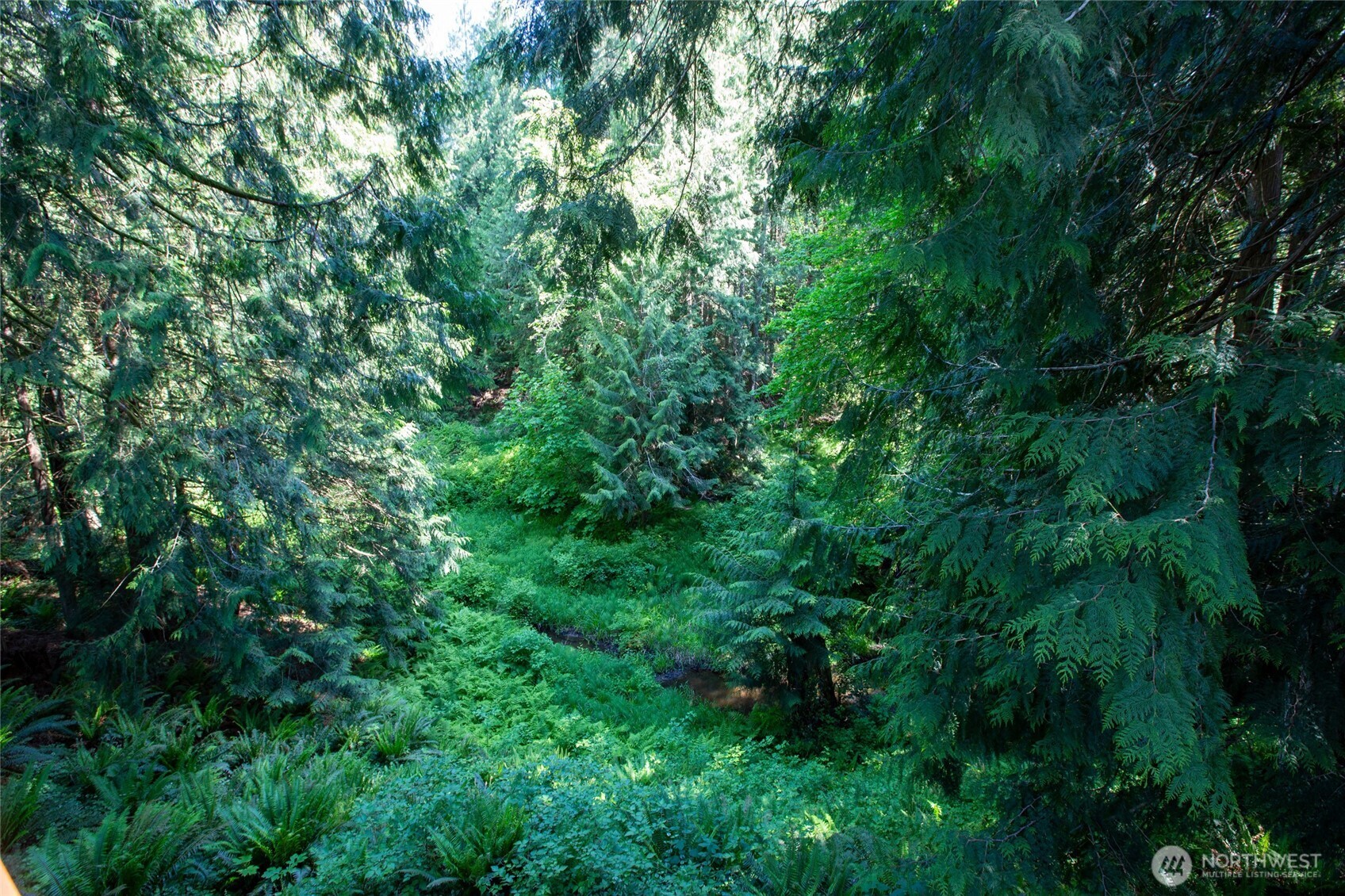 60 Miller Road Friday Harbor, WA 98250 - Photo 30 of 35