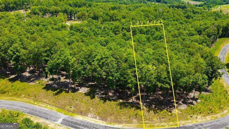 0 Ridge Drive, Unit LOT #65 Morganton, GA 30560 - Photo 3 of 13 a view of a small yard