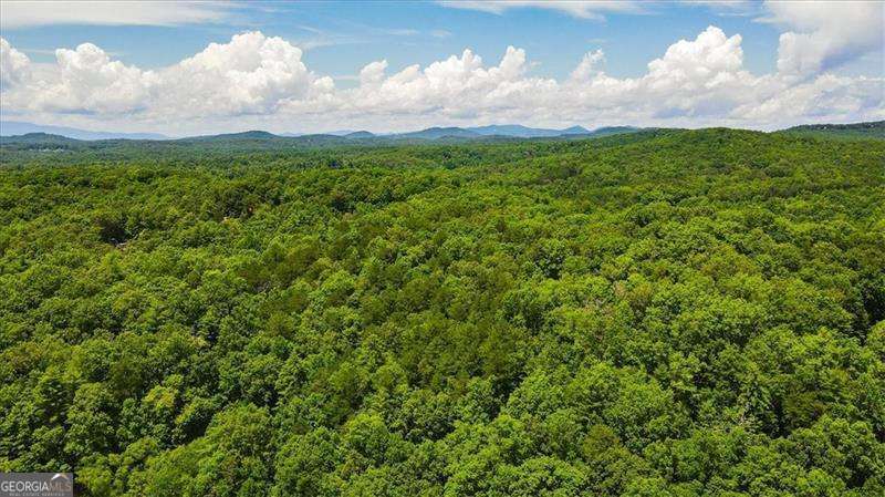 0 Ridge Drive, Unit LOT #65 Morganton, GA 30560 - Photo 6 of 13 a view of a lake and a yard