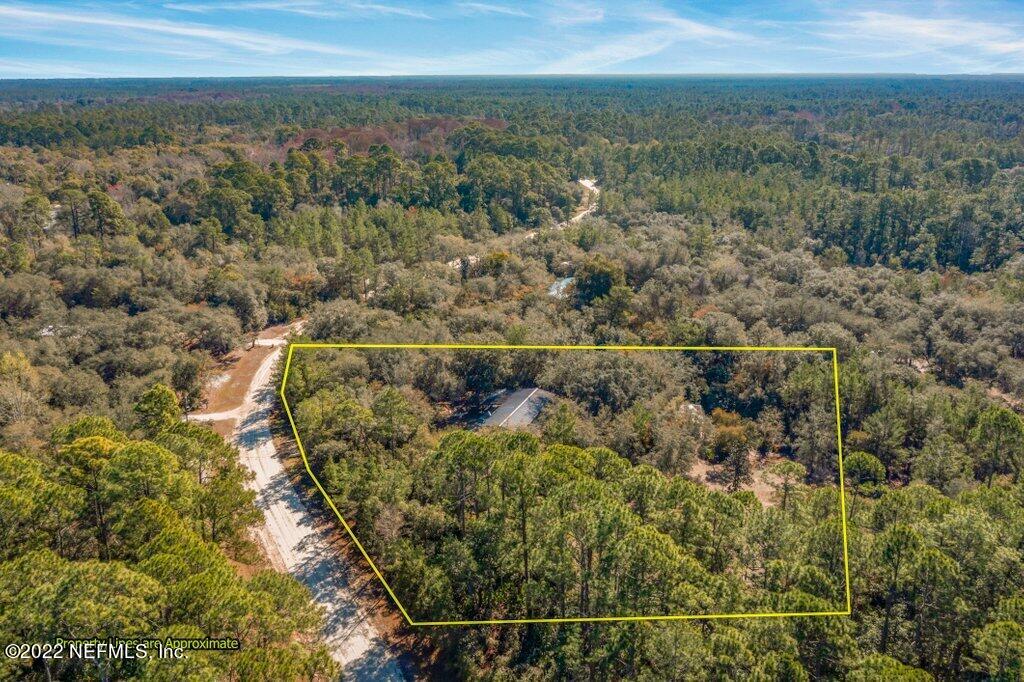 109 Bayberry Road Georgetown, FL 32139 - Photo 54 of 56 a view of a forest