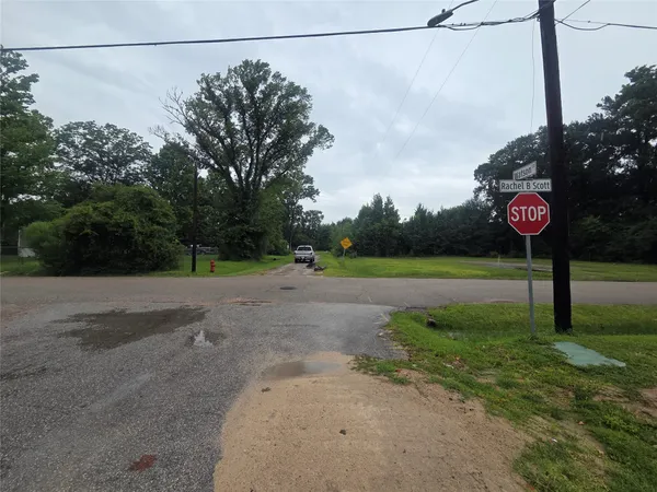 a view of a yard with a tree