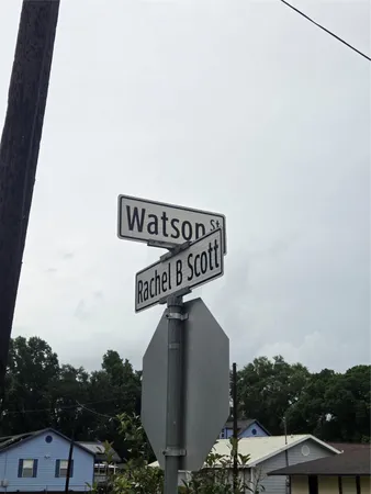 a view of a green field with plants and large trees