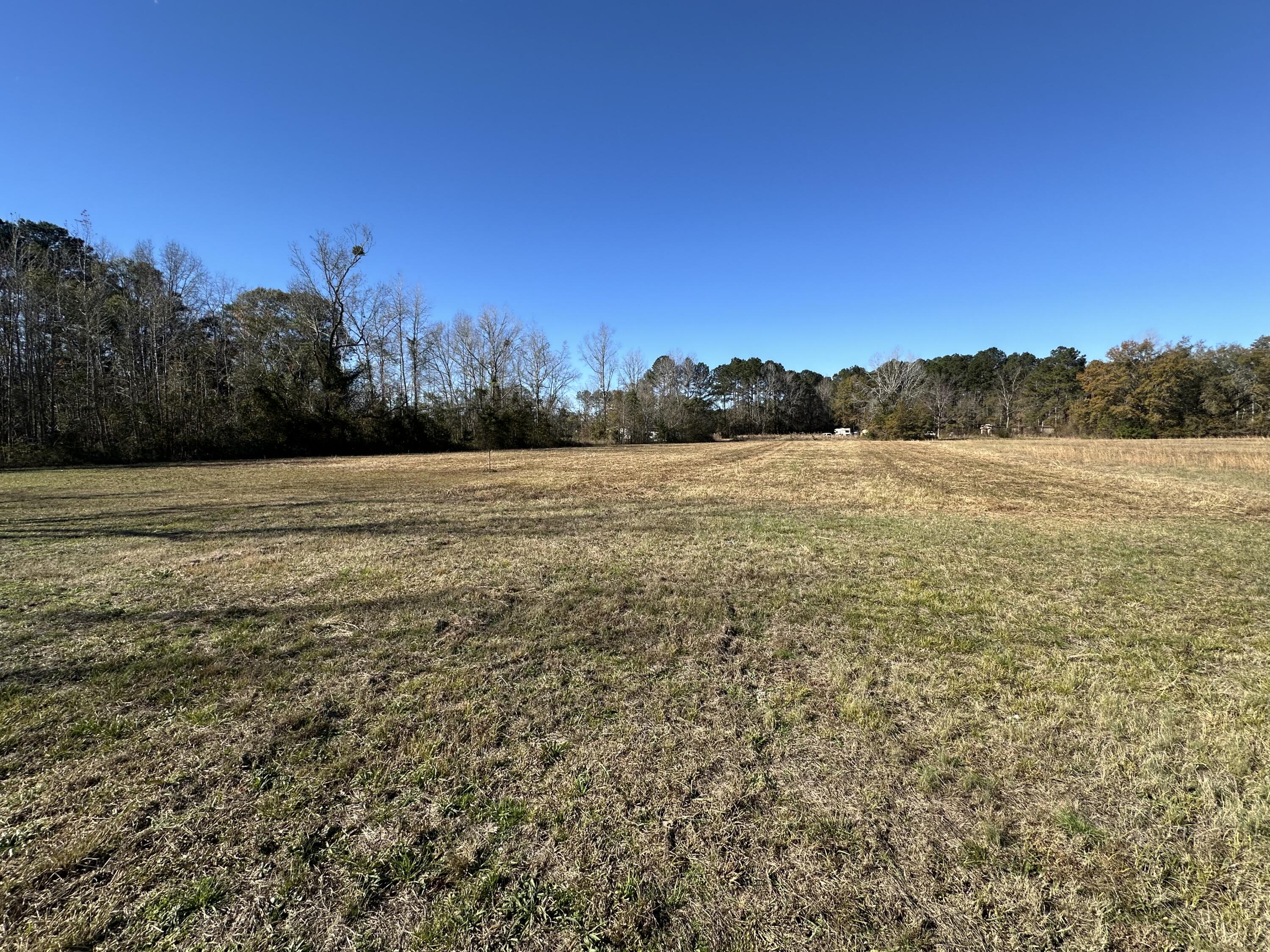 0 Bishopville Road St. George, SC 29477 - Photo 4 of 11
