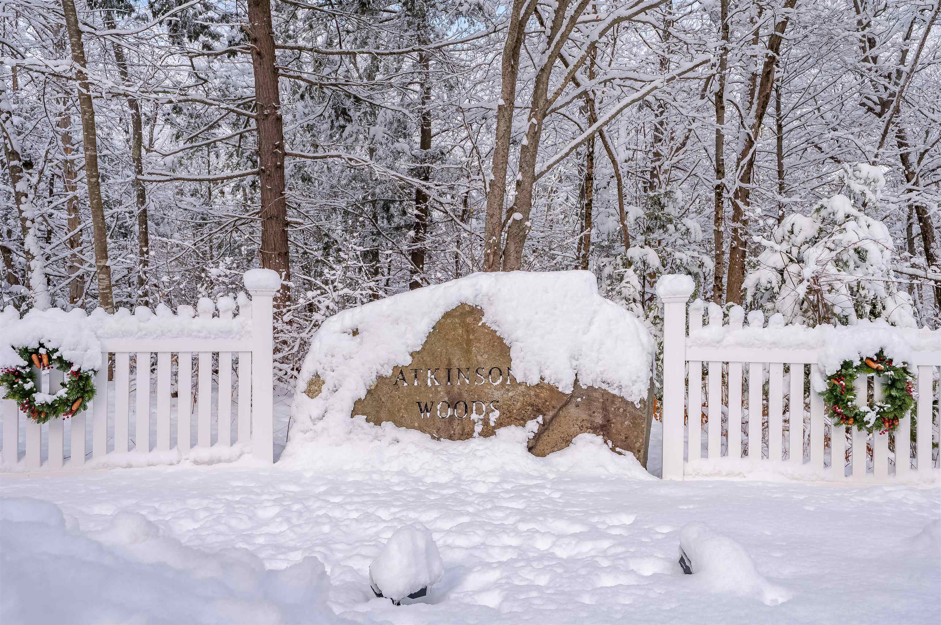 8 Coles Way Atkinson, NH 03811 - Photo 45 of 45