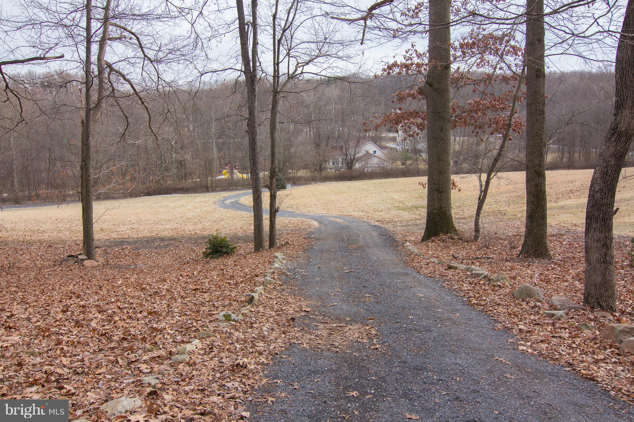 15825 Yeoho Road Sparks, MD 21152 - Photo 28 of 30 a view of a forest filled with trees