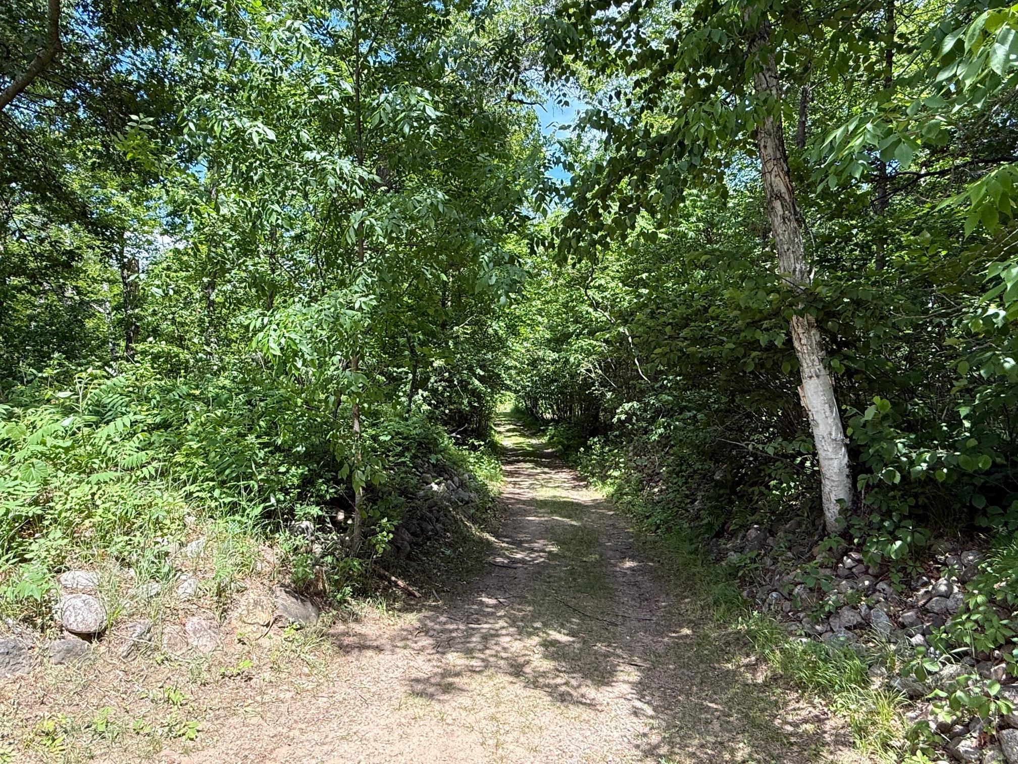 18286 Johnson Road North Brainerd, MN 56401 - Photo 97 of 113