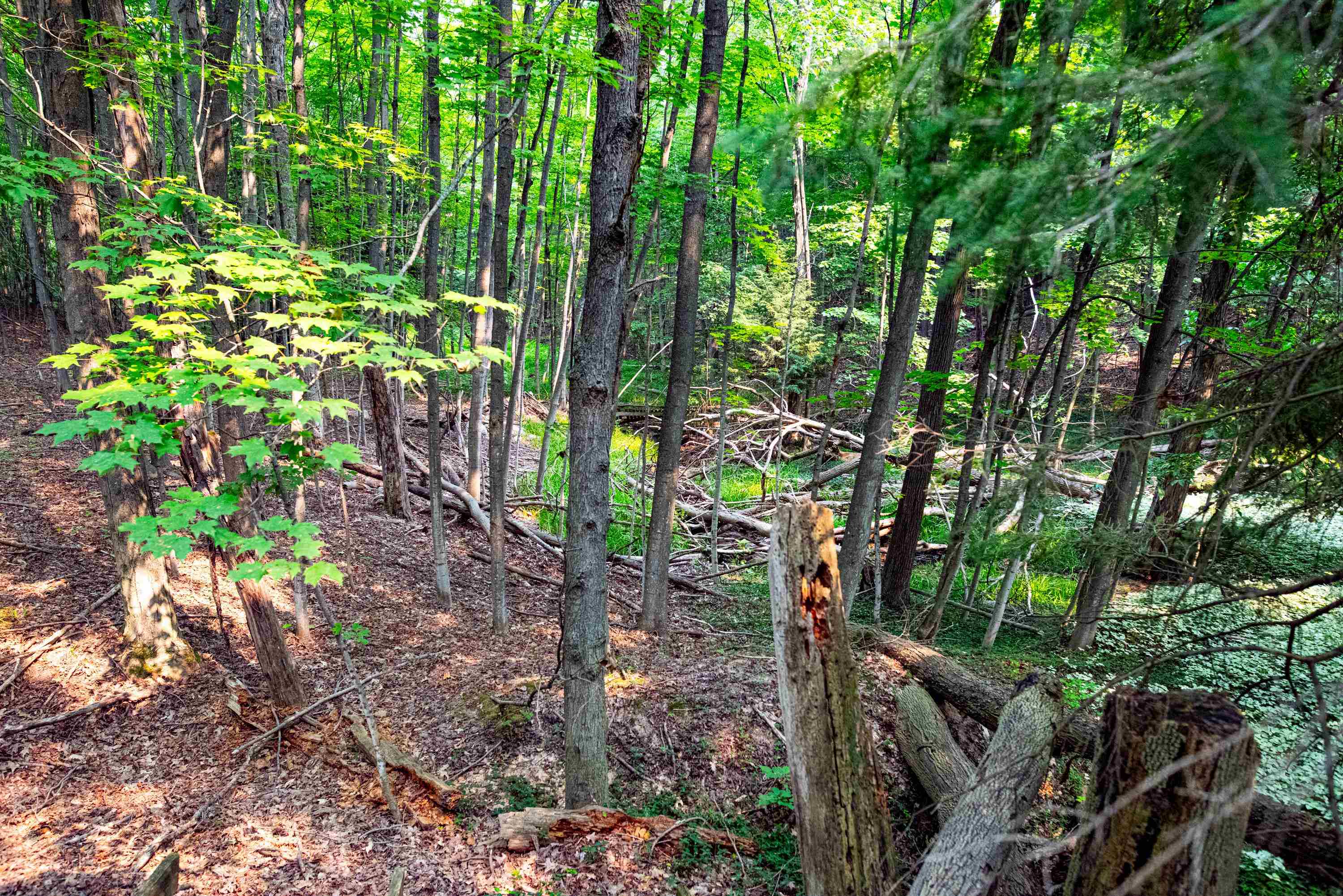 0 East Grandview Road Traverse City, MI 49684 - Photo 15 of 24