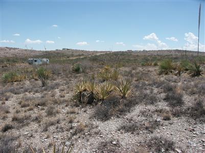 13709 South Bell Road Benson, AZ 85602 - Photo 2 of 3 Gallery Image 2