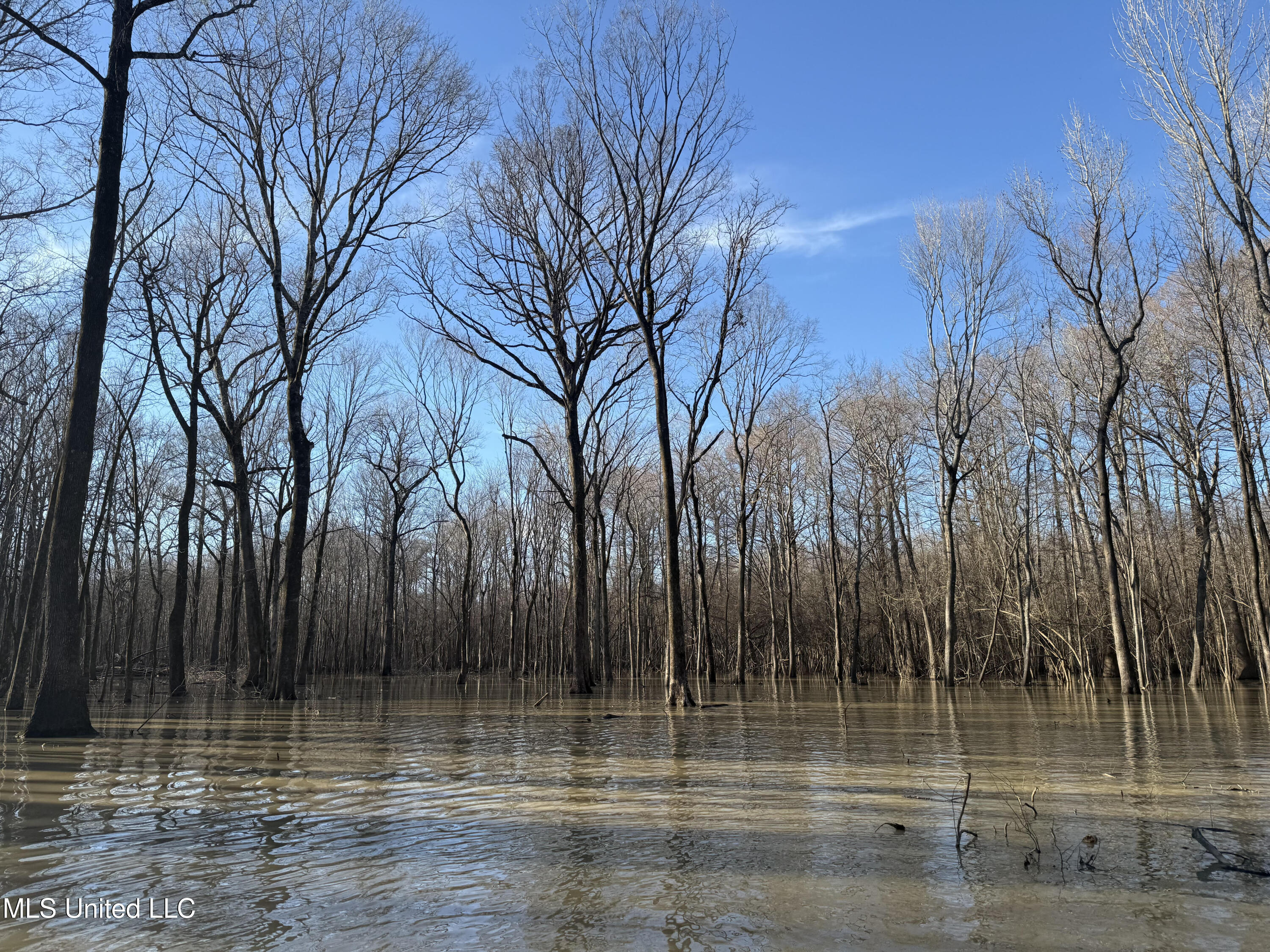 Gun Baoyu Road Belzoni, MS 39038 - Photo 12 of 32 gb19