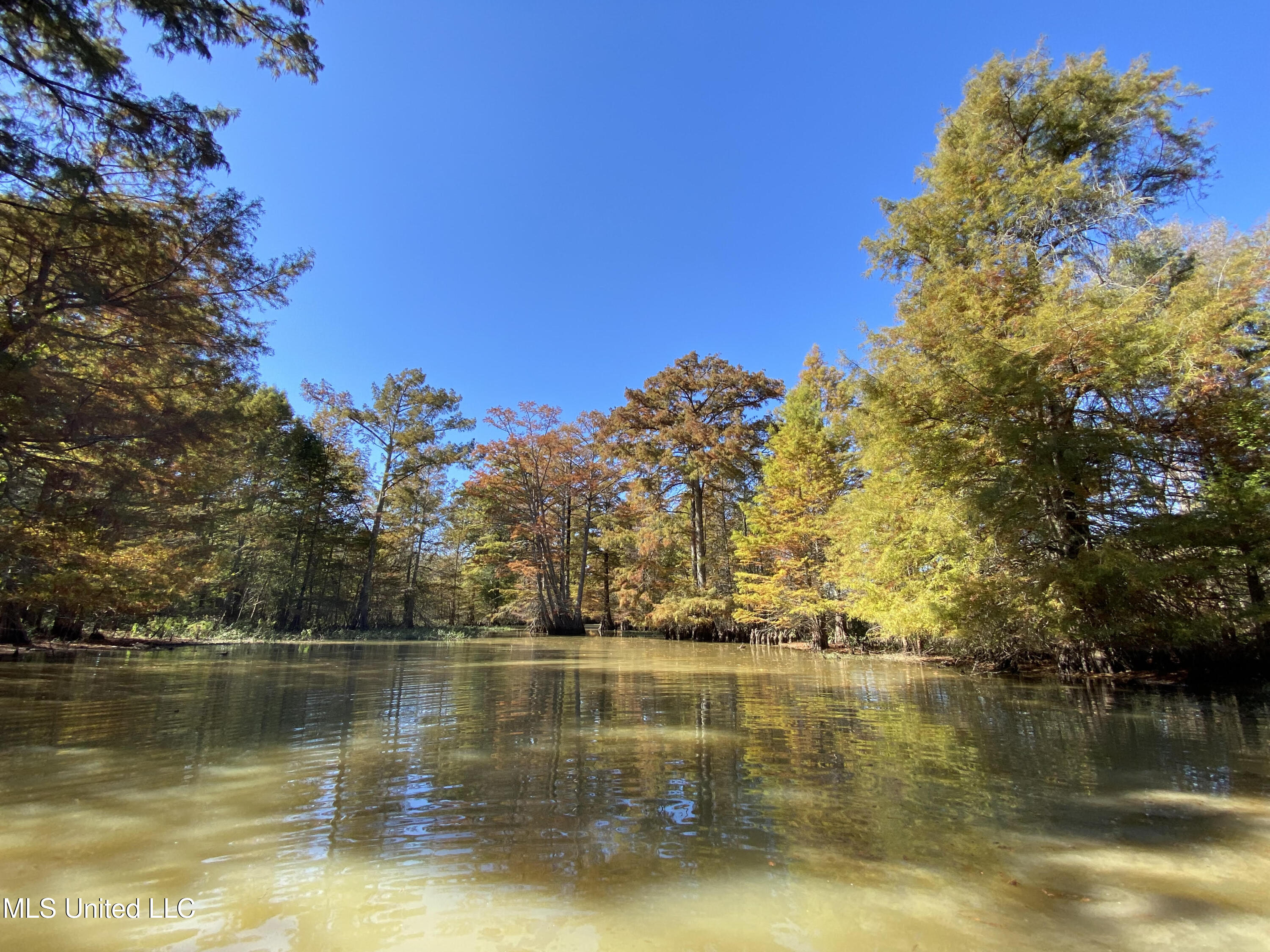 Gun Baoyu Road Belzoni, MS 39038 - Photo 14 of 32 gb41