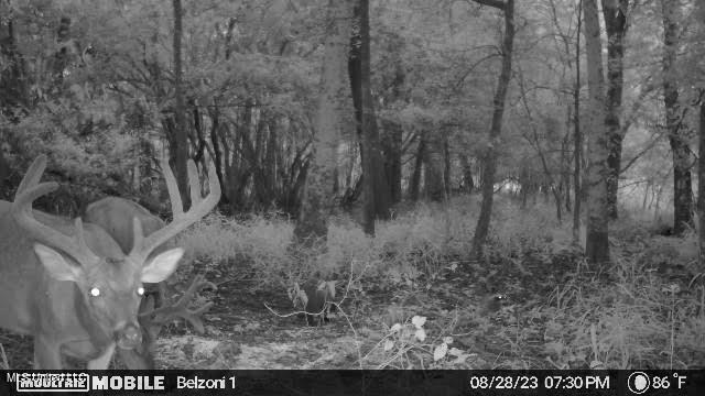 Gun Baoyu Road Belzoni, MS 39038 - Photo 15 of 32 gb38