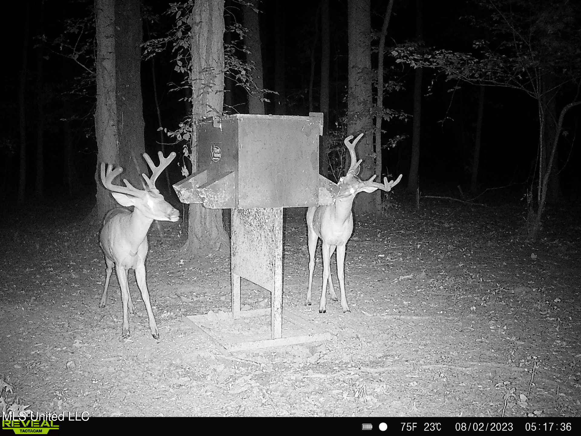 Gun Baoyu Road Belzoni, MS 39038 - Photo 16 of 32 gb14