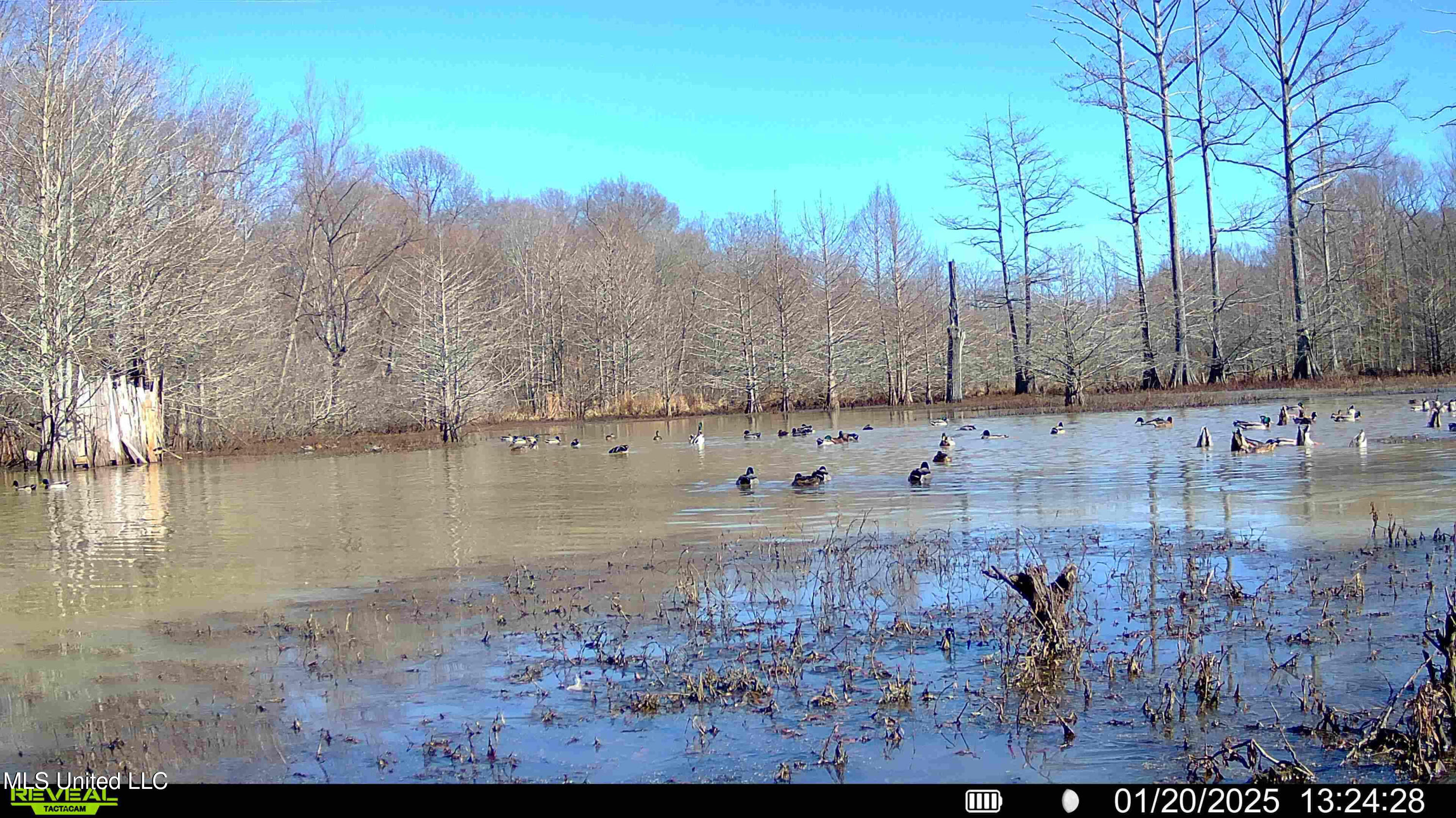 Gun Baoyu Road Belzoni, MS 39038 - Photo 2 of 32 gb24