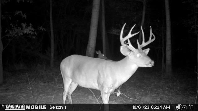 Gun Baoyu Road Belzoni, MS 39038 - Photo 21 of 32 gb27