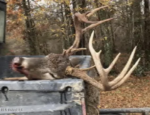 Gun Baoyu Road Belzoni, MS 39038 - Photo 23 of 32 gb31