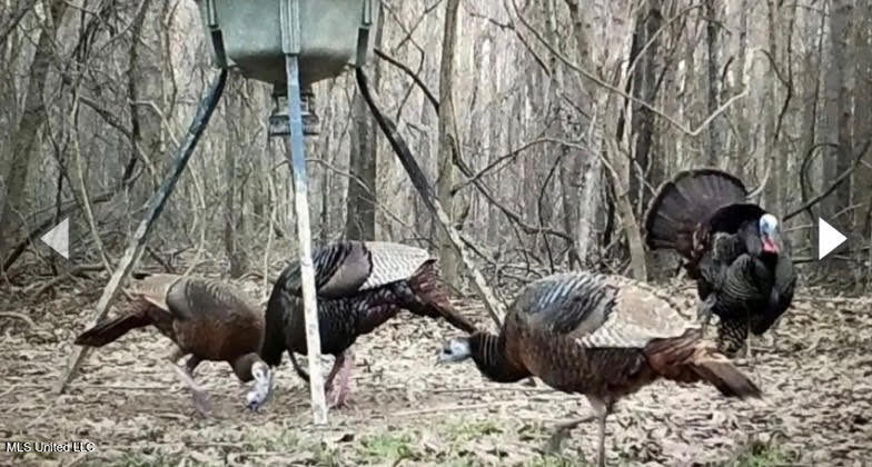 Gun Baoyu Road Belzoni, MS 39038 - Photo 24 of 32 gb32