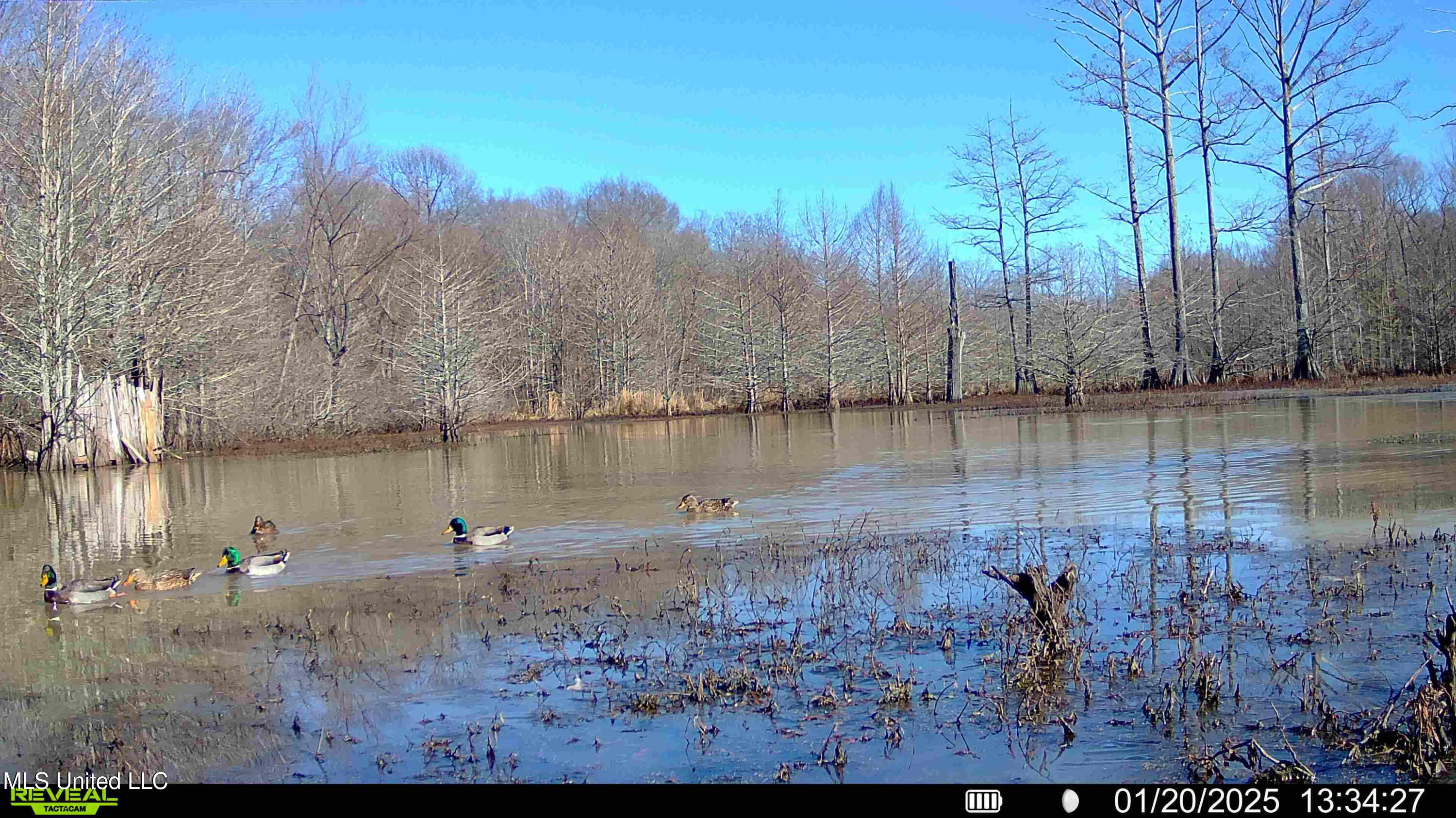 Gun Baoyu Road Belzoni, MS 39038 - Photo 27 of 32 gb25