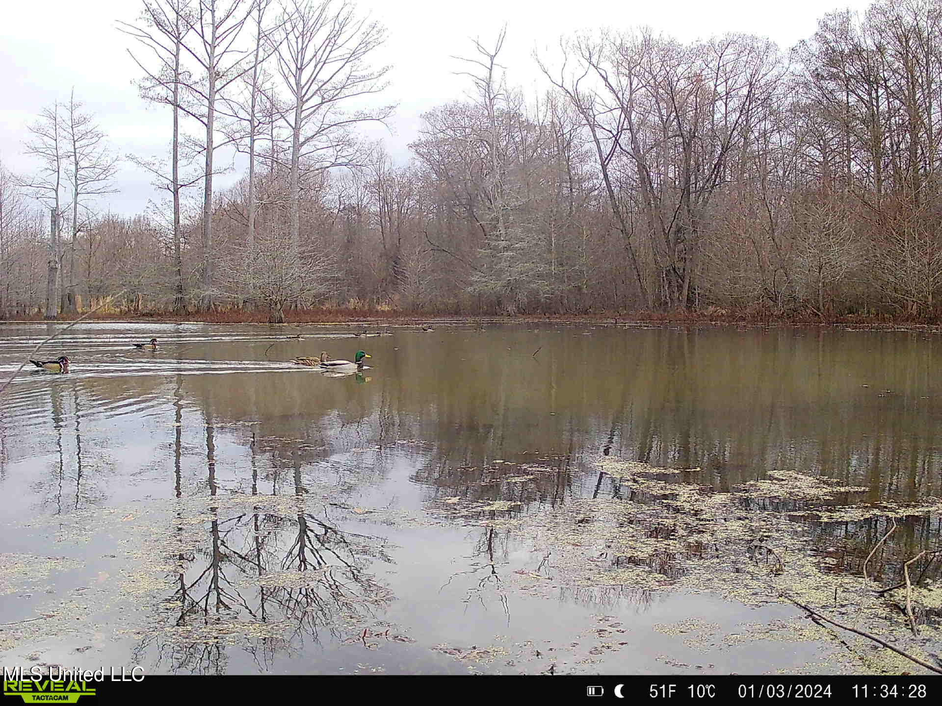 Gun Baoyu Road Belzoni, MS 39038 - Photo 28 of 32 gb21