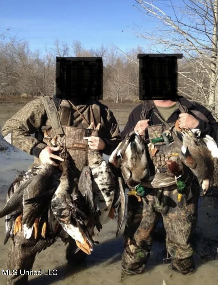 Gun Baoyu Road Belzoni, MS 39038 - Photo 30 of 32 gb35