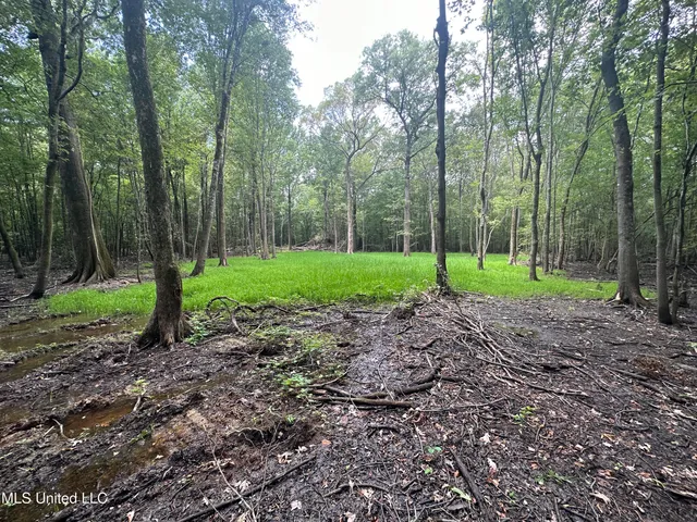$374,900 | Gun Baoyu Road, Belzoni, MS 39038