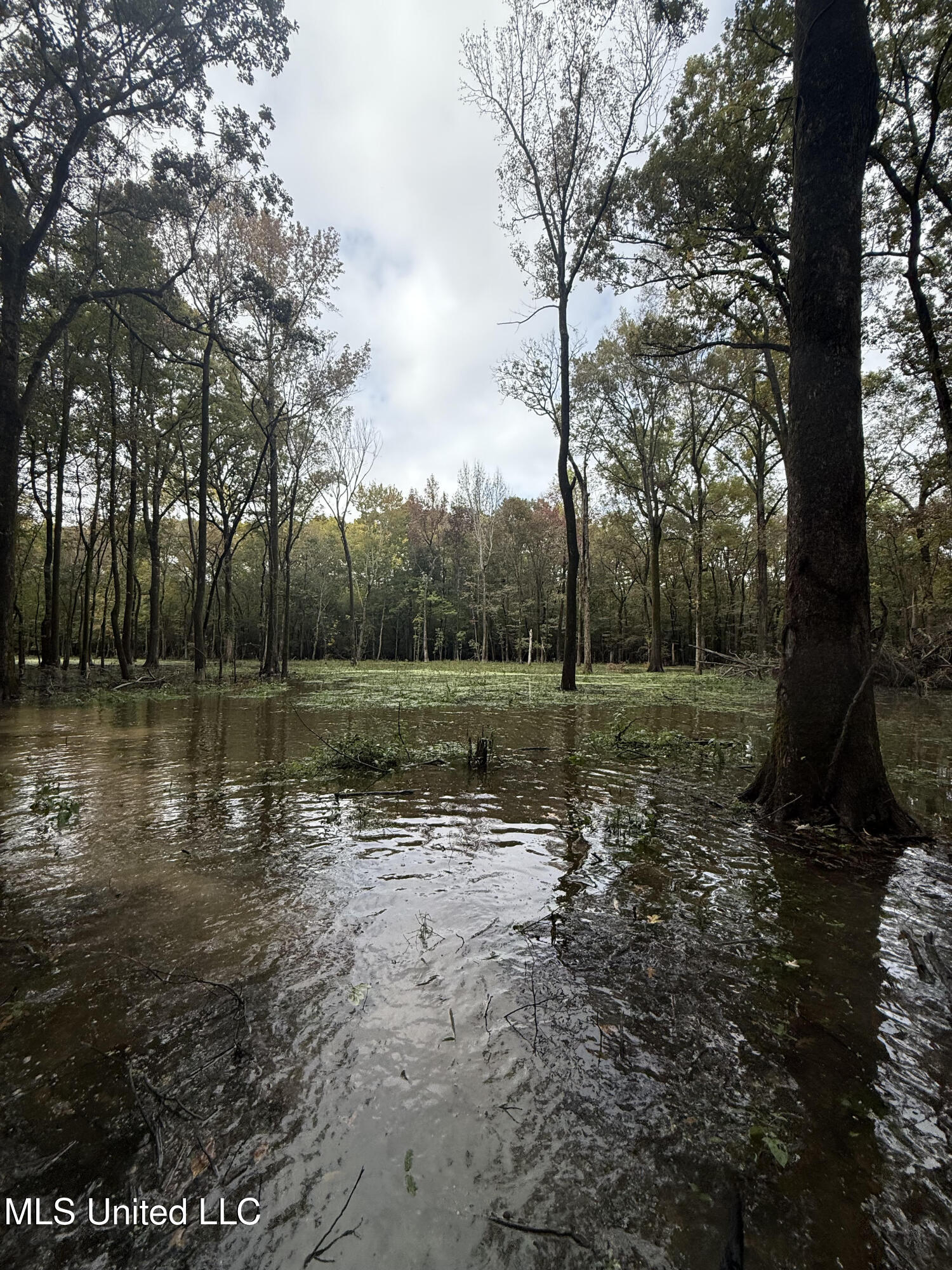Gun Baoyu Road Belzoni, MS 39038 - Photo 31 of 32 gb7