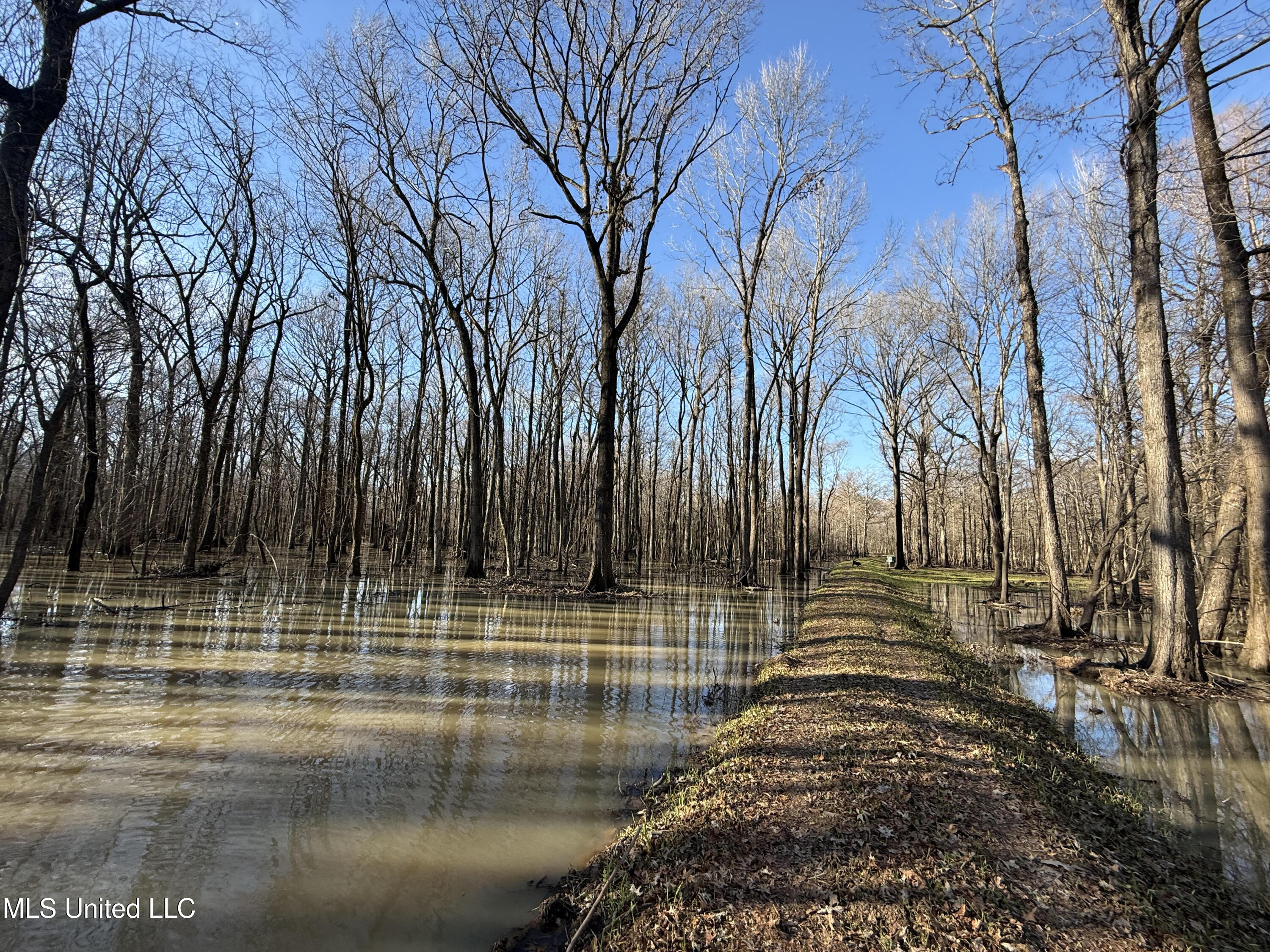 Gun Baoyu Road Belzoni, MS 39038 - Photo 6 of 32 gb17