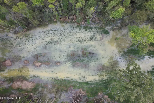 $374,900 | Gun Baoyu Road, Belzoni, MS 39038