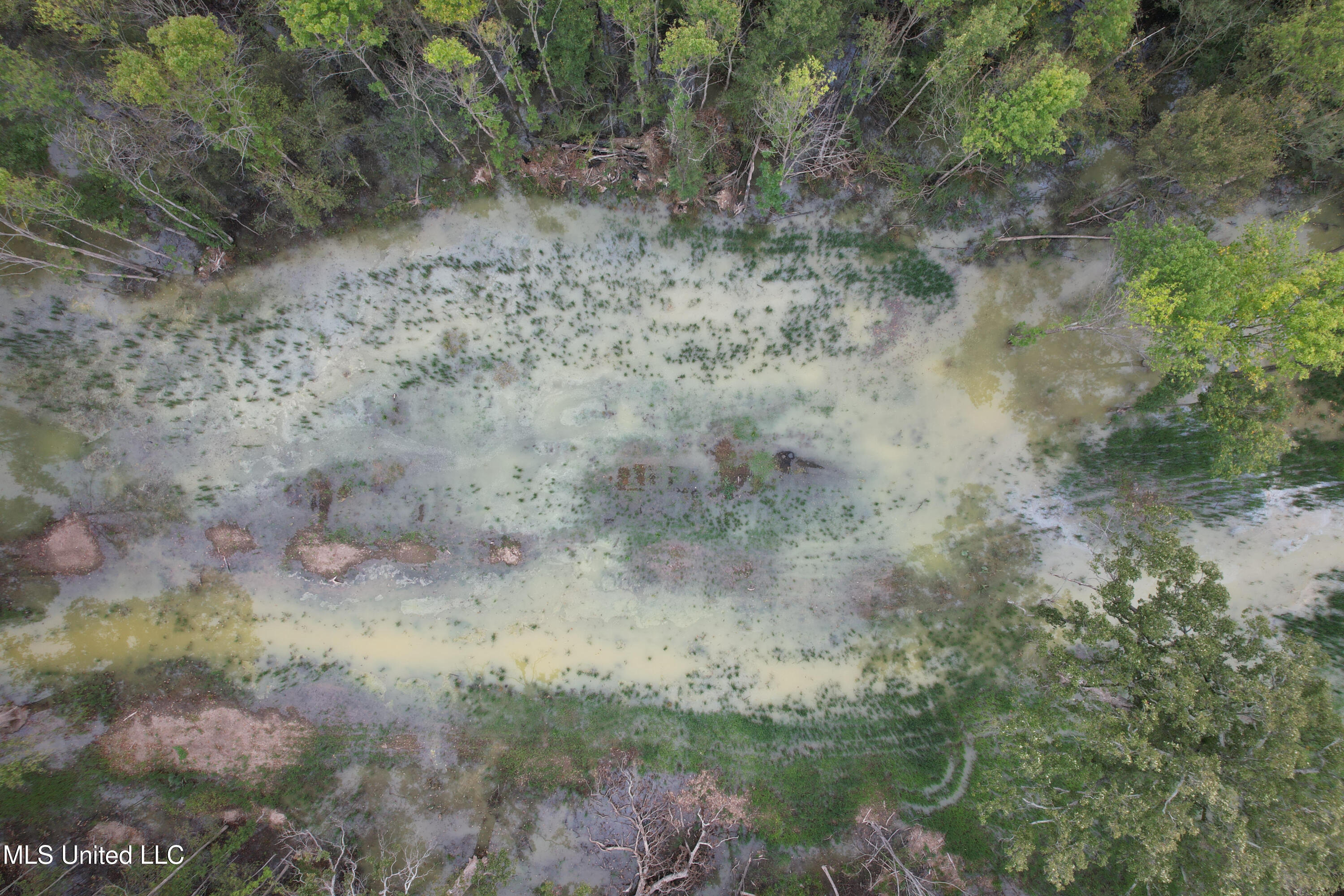 Gun Baoyu Road Belzoni, MS 39038 - Photo 8 of 32 gb5