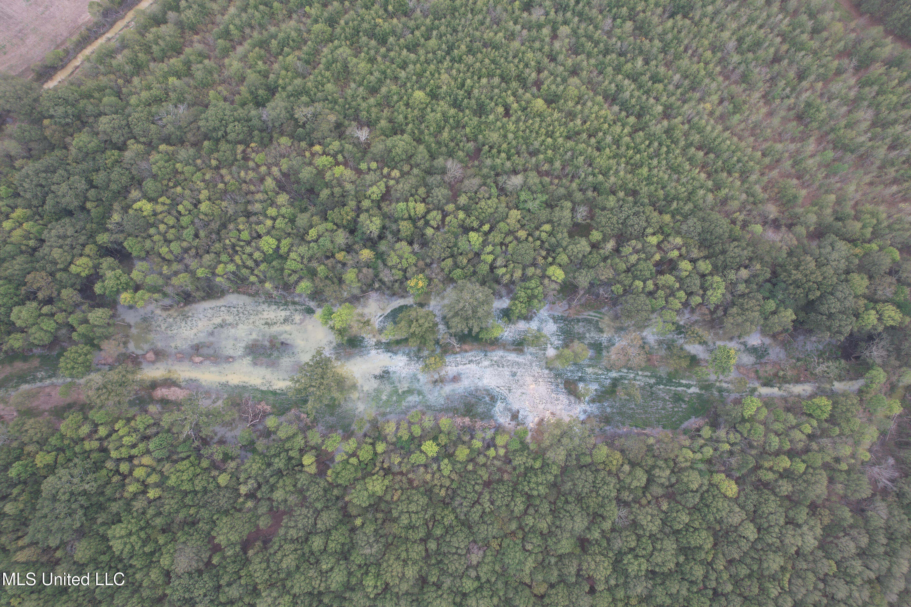 Gun Baoyu Road Belzoni, MS 39038 - Photo 9 of 32 gb2