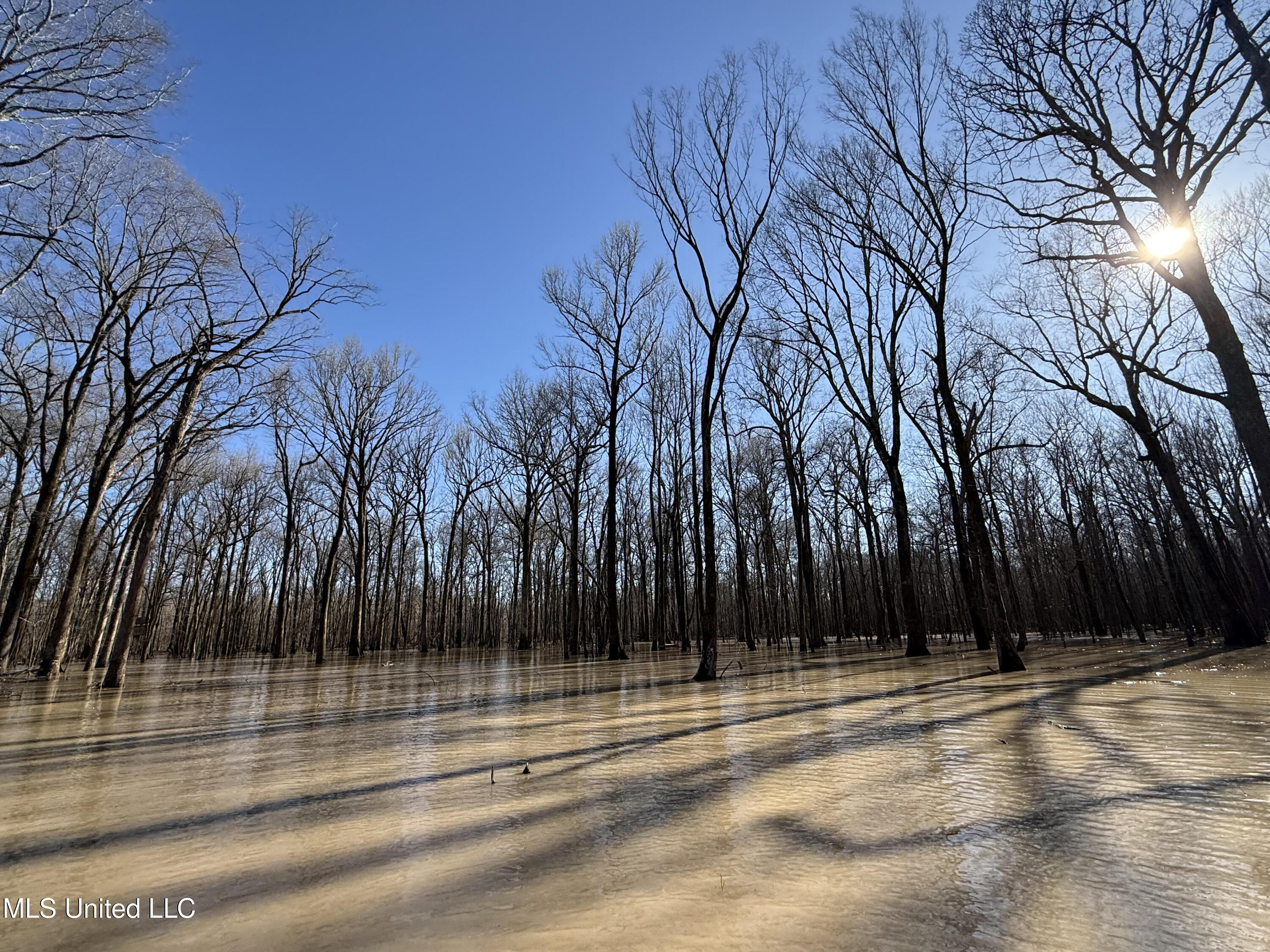 Gun Baoyu Road Belzoni, MS 39038 - Photo 10 of 32 gb29