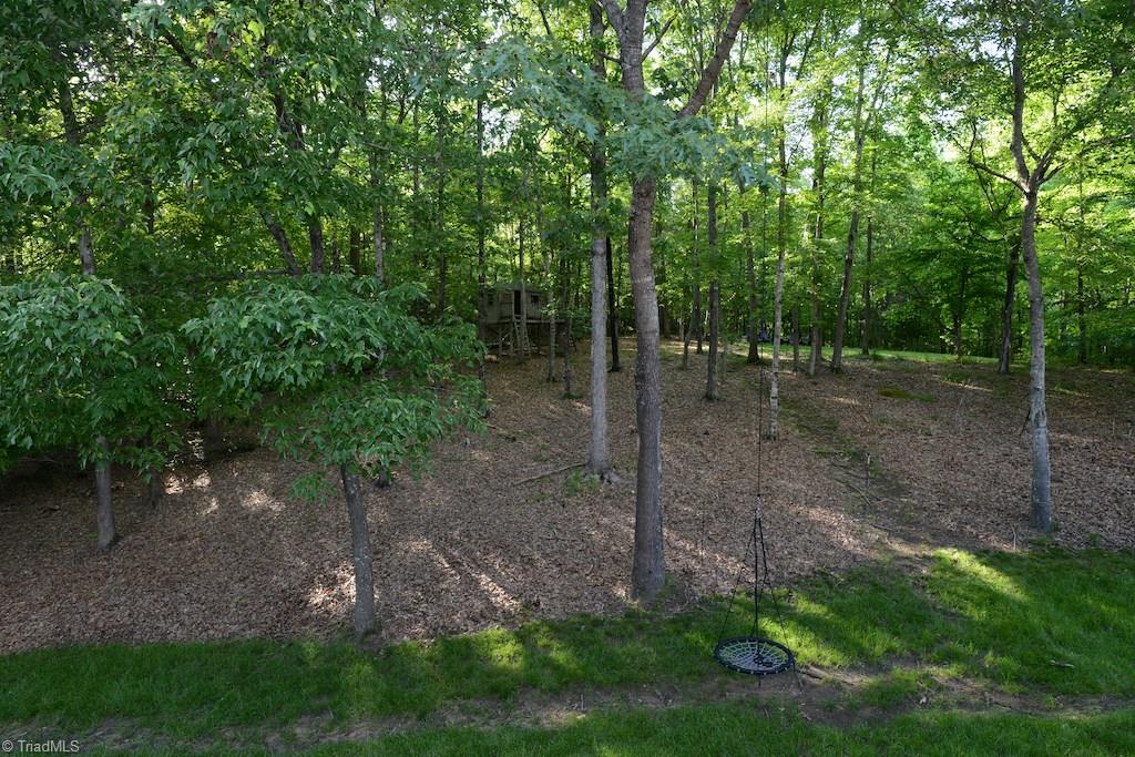 1709 Heathcliff Road High Point, NC 27262 - Photo 29 of 30 Can you believe this is your back yard??