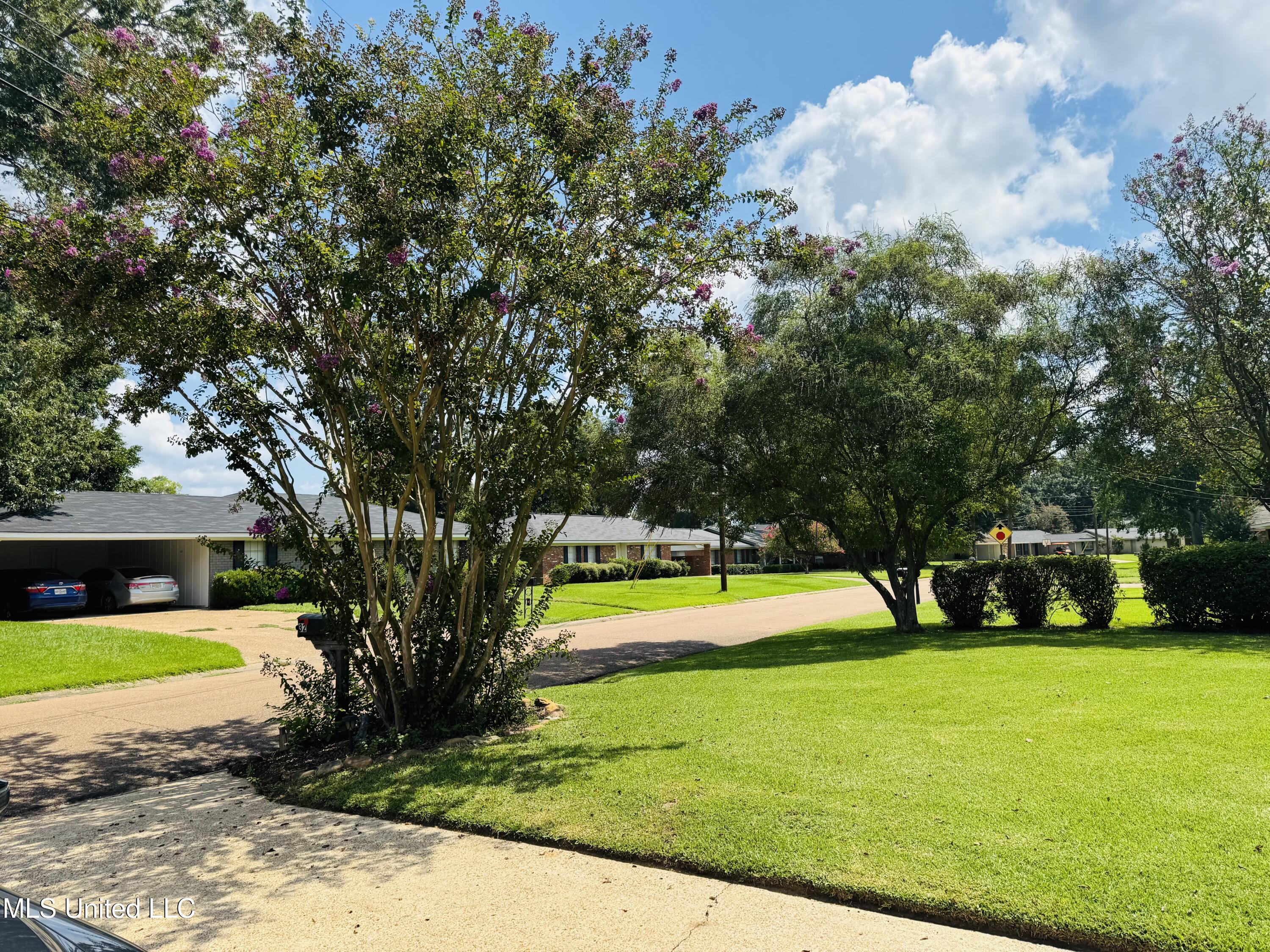 32 Pecan Way Natchez, MS 39120 - Photo 6 of 61 IMG_6727