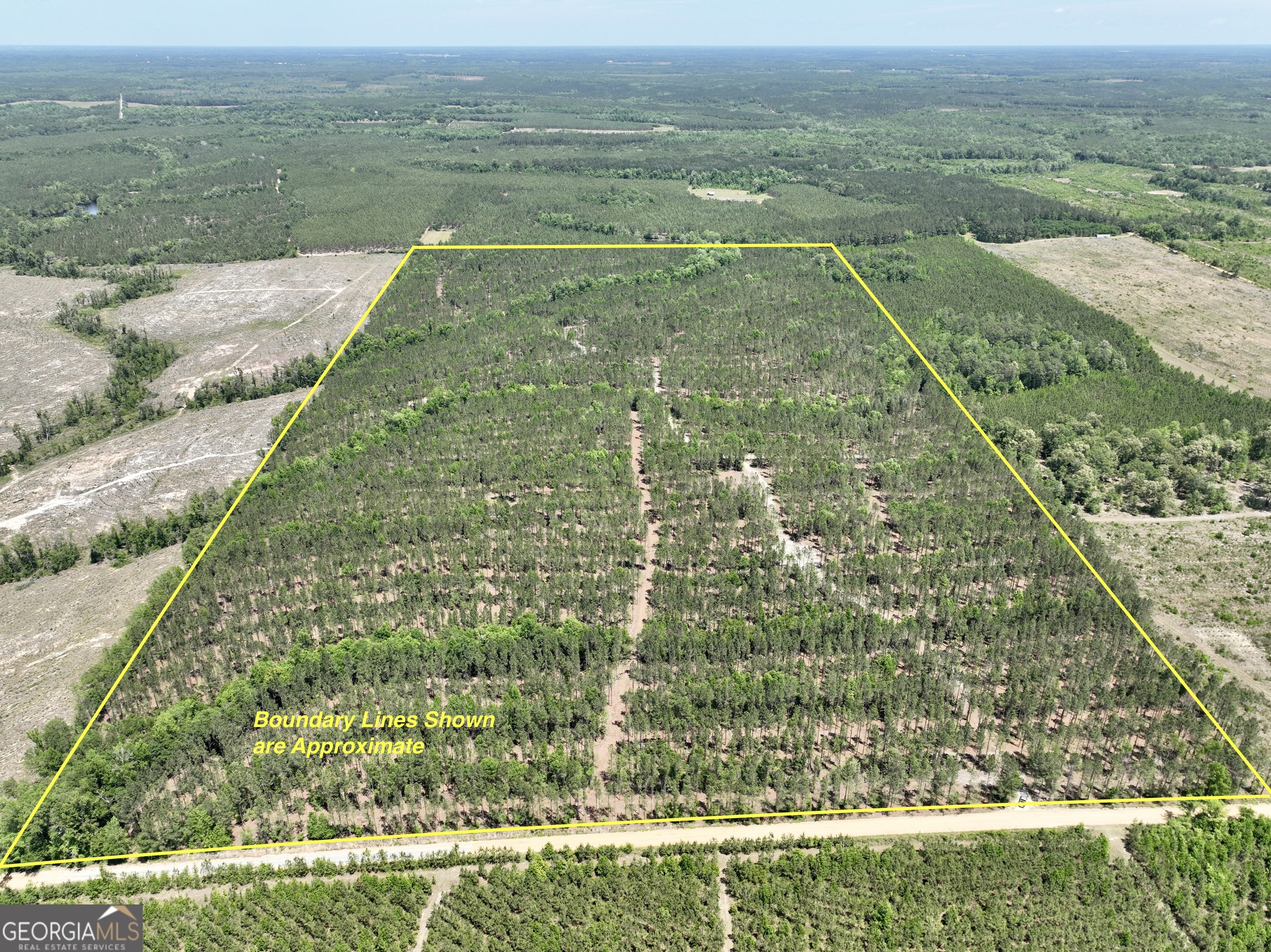 0 Jerry Farmer Road Eastman, GA 31023 - Photo 1 of 1 Gallery Image 1