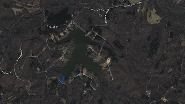 a close up of a plant in a bathroom