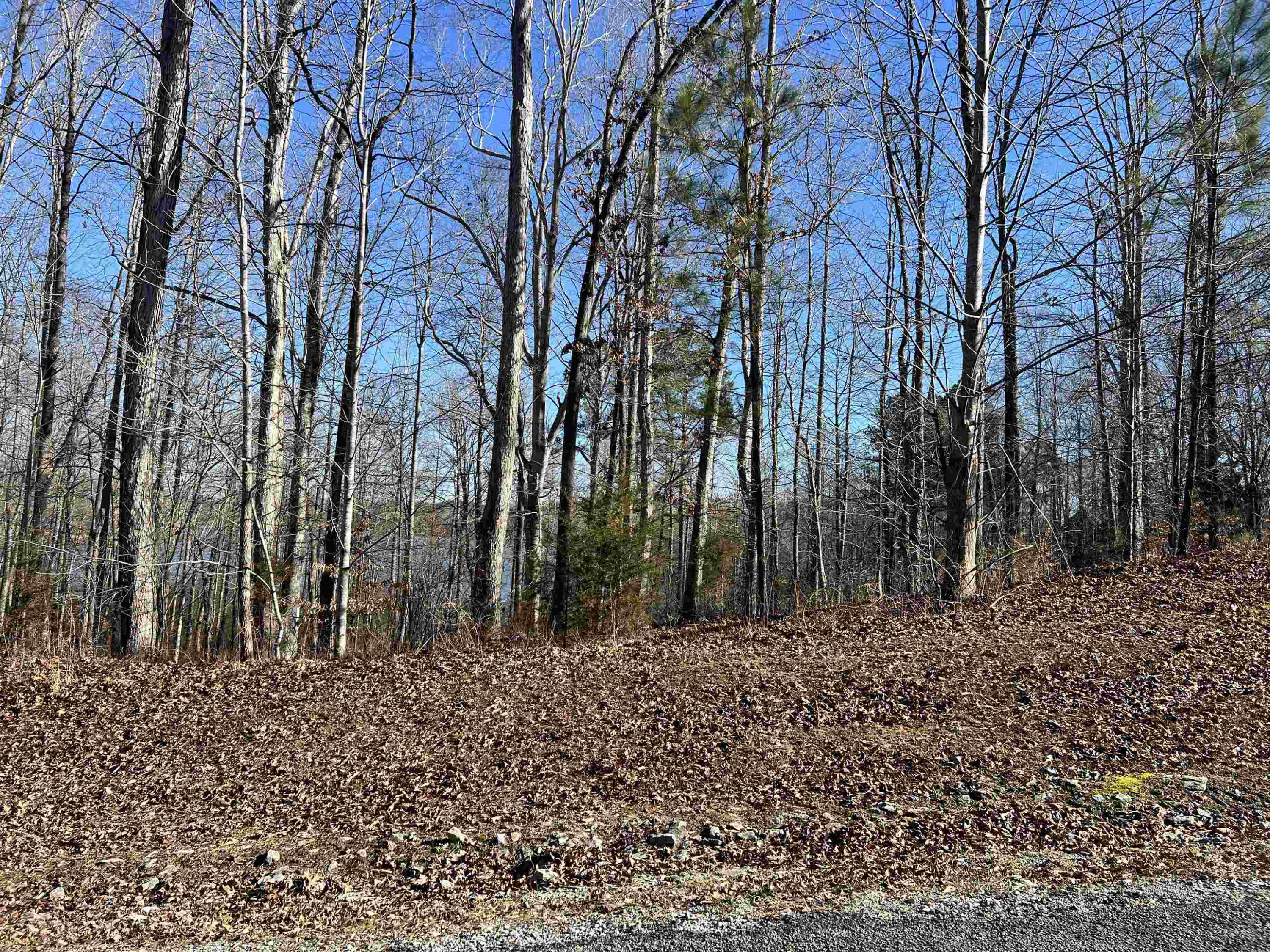 0 Excalibur Trail (lot 237) Cedar Grove, TN 38321 - Photo 5 of 12 a backyard of a house with lots of green space