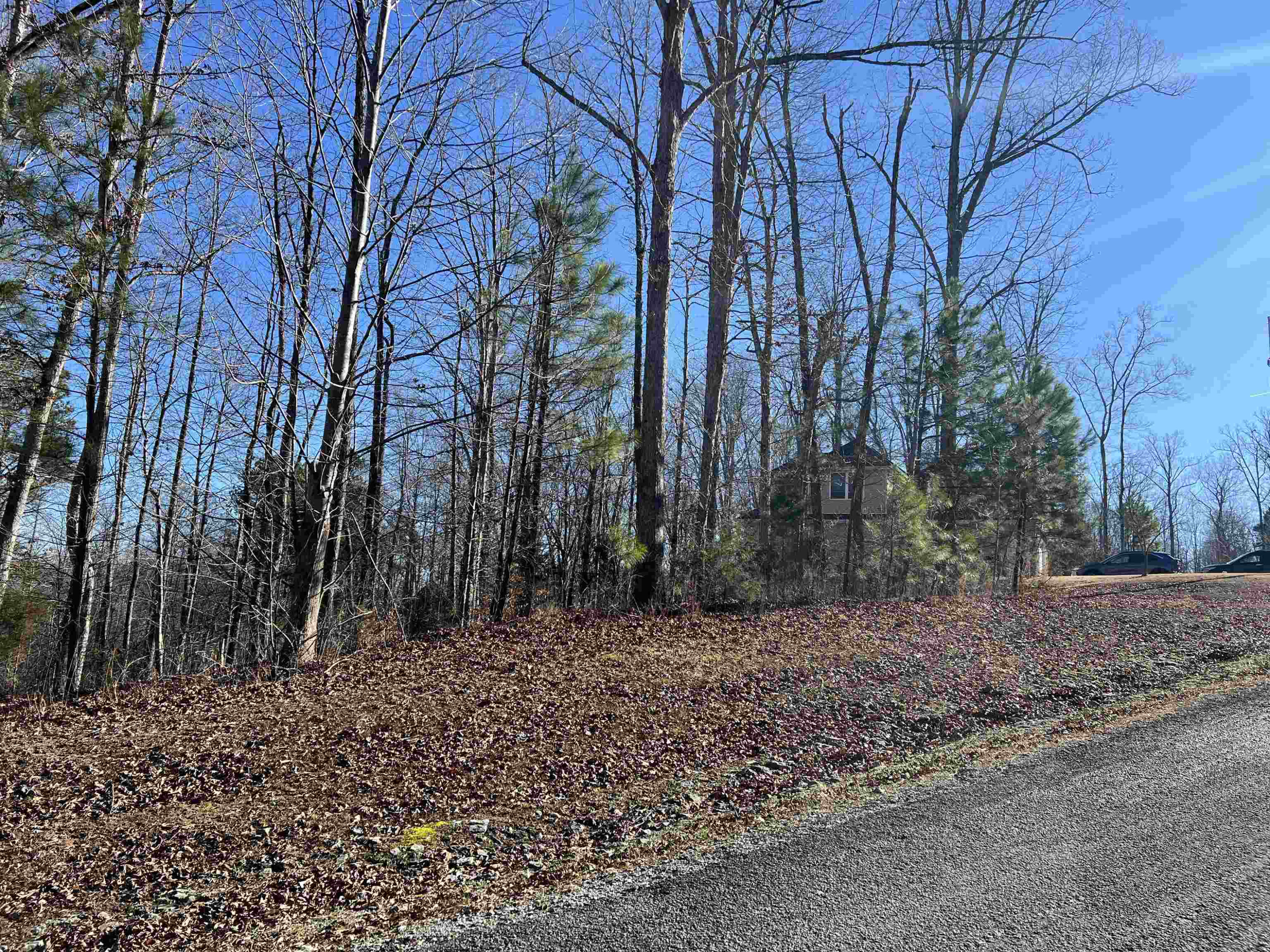 0 Excalibur Trail (lot 237) Cedar Grove, TN 38321 - Photo 6 of 12 a backyard of a house with lots of green space