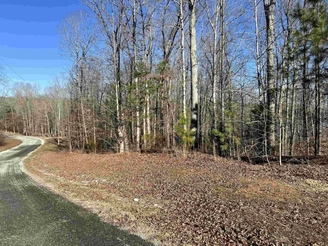 a view of dirt yard with a large tree