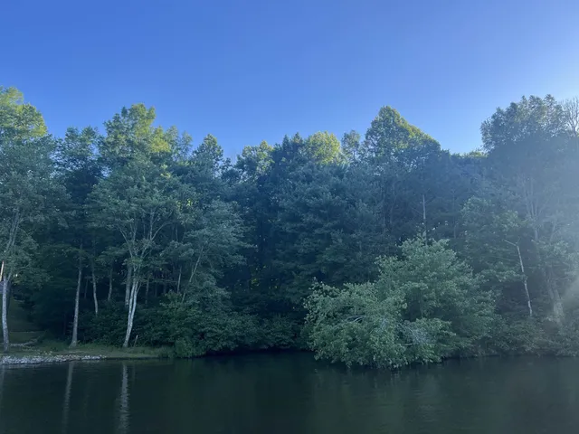 a view of a lake with a house in the background
