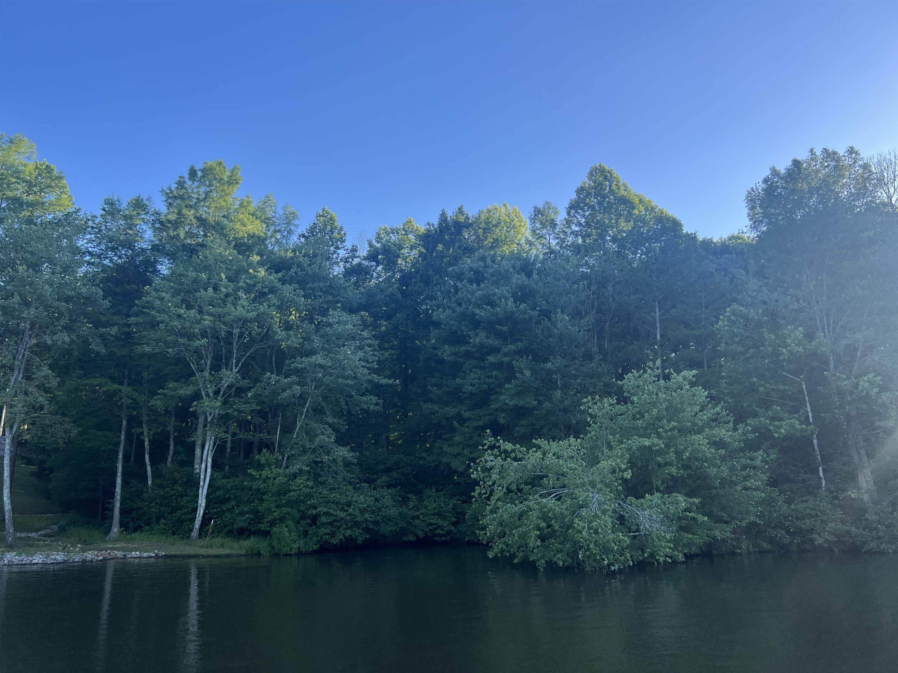 0 Excalibur Trail (lot 237) Cedar Grove, TN 38321 - Photo 8 of 12 a view of a lake with a house in the background