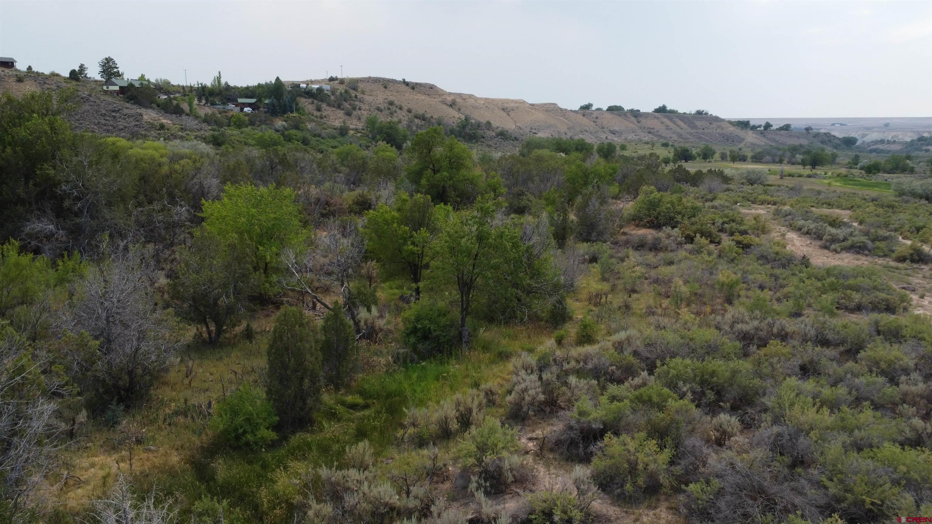 21538 Hamilton Road Eckert, CO 81418 - Photo 2 of 9 a view of a lush green forest with a houses