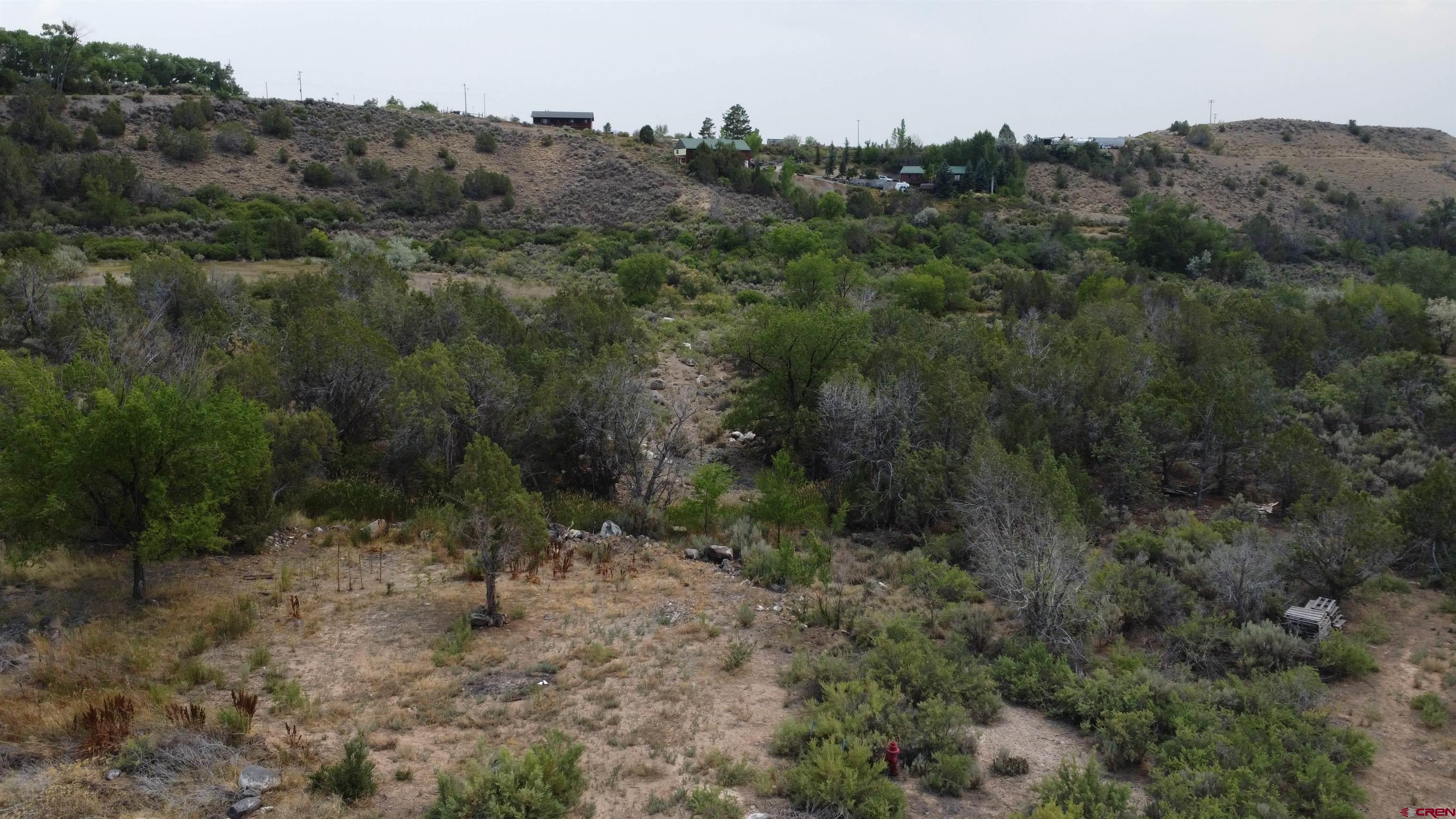 21538 Hamilton Road Eckert, CO 81418 - Photo 3 of 9 a view of a forest with a street