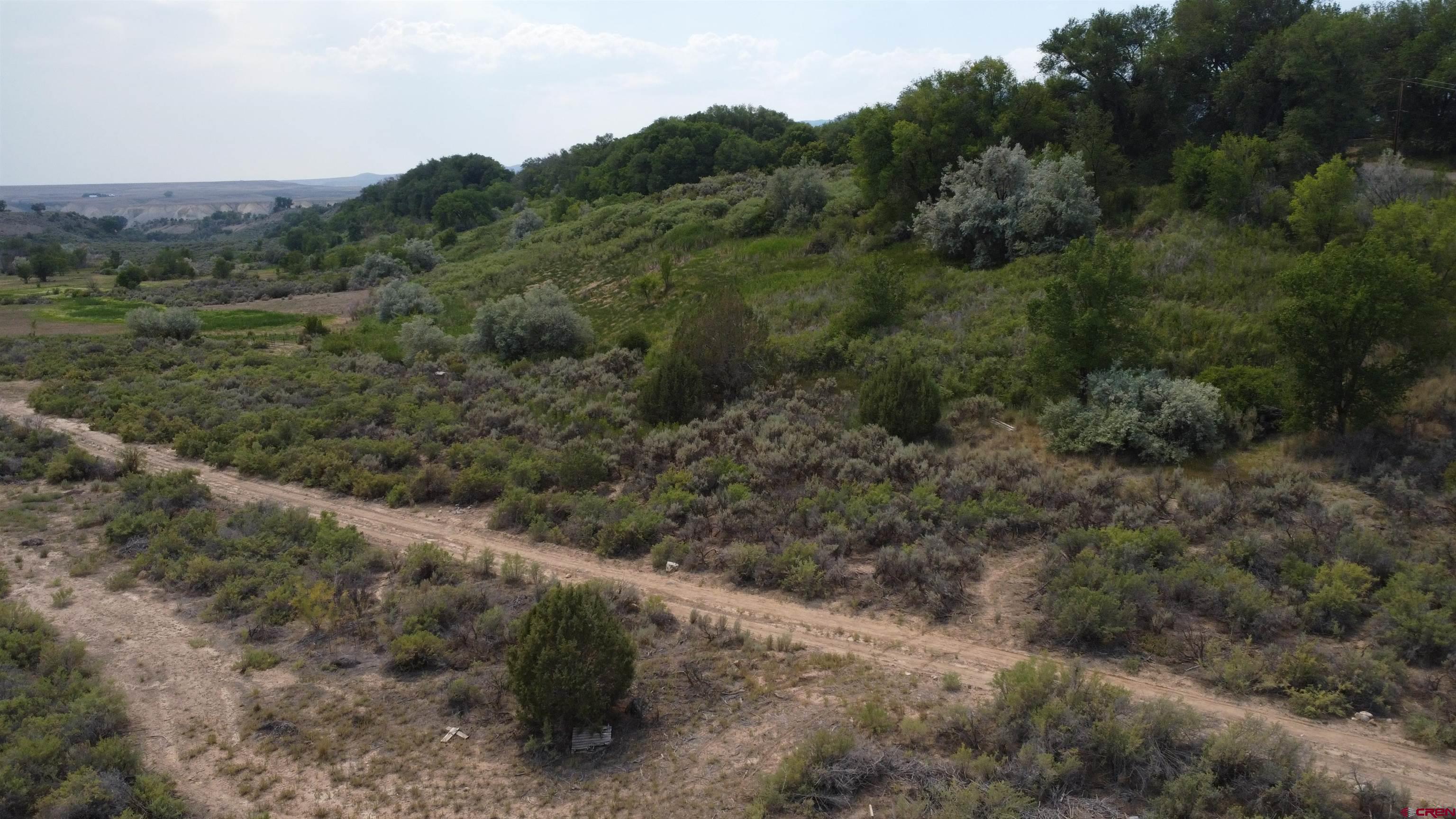 21538 Hamilton Road Eckert, CO 81418 - Photo 4 of 9 a view of a forest with a street