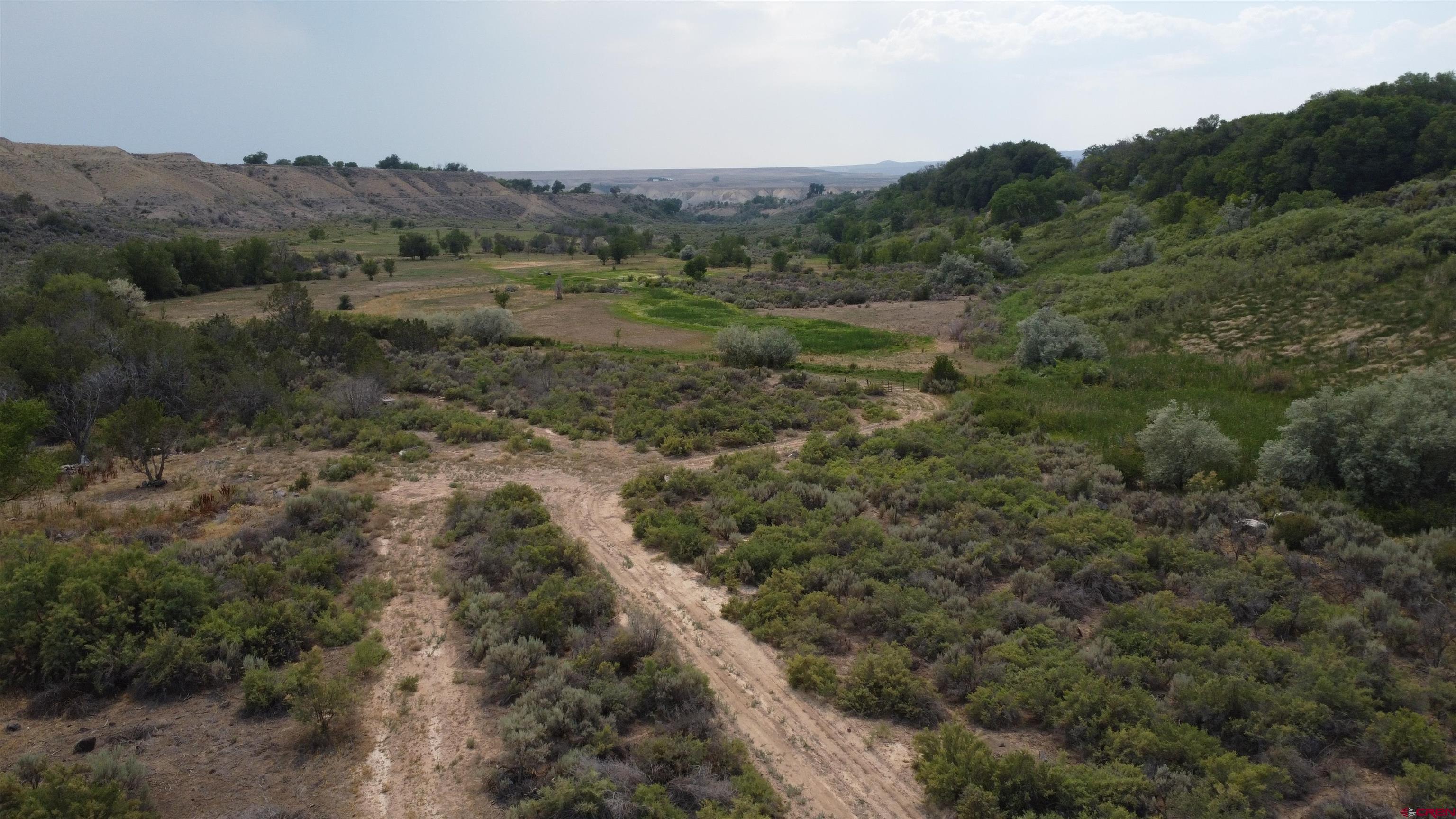 21538 Hamilton Road Eckert, CO 81418 - Photo 5 of 9 a view of a forest with trees in the background