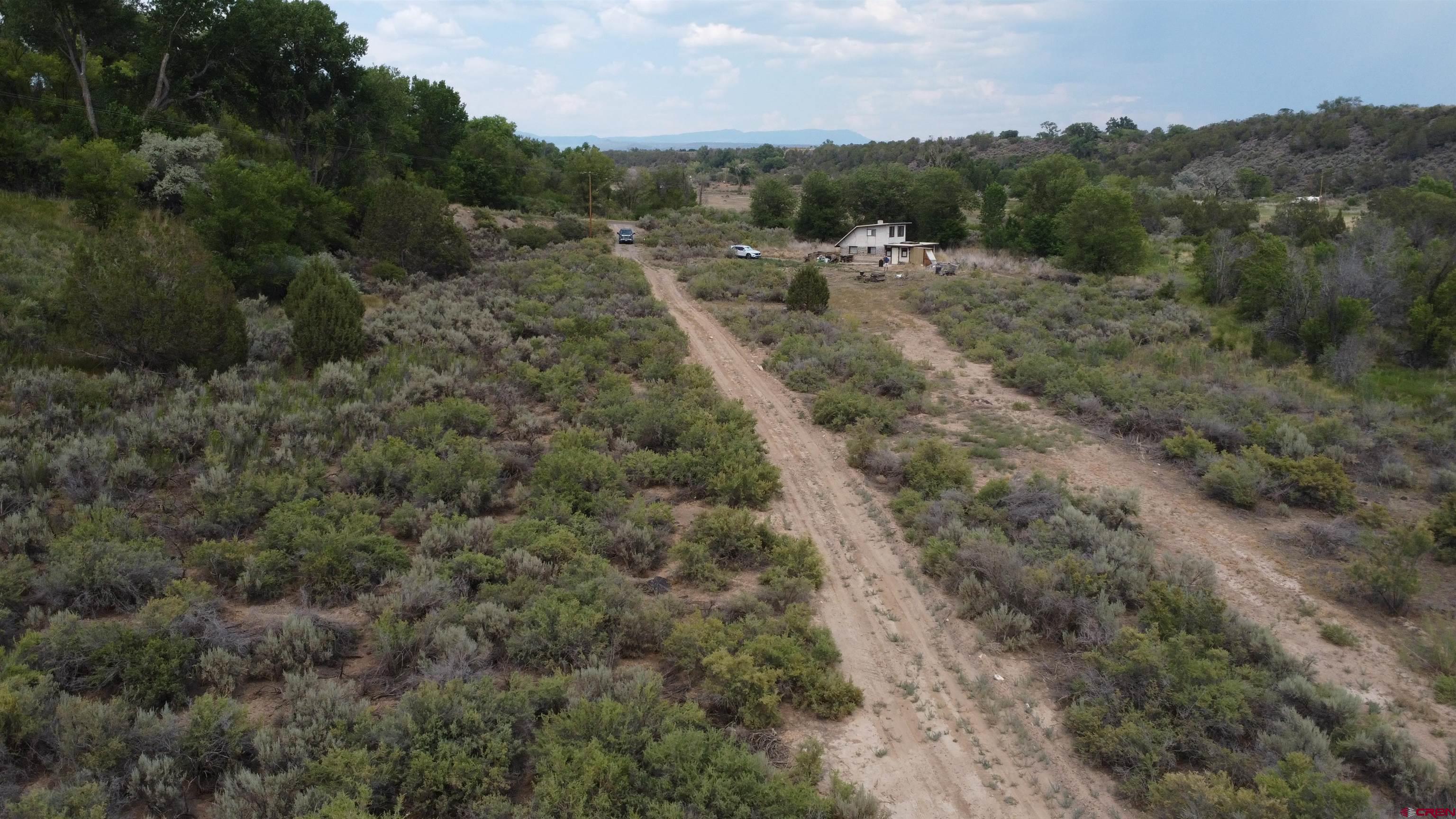 21538 Hamilton Road Eckert, CO 81418 - Photo 8 of 9 a view of a forest with a street