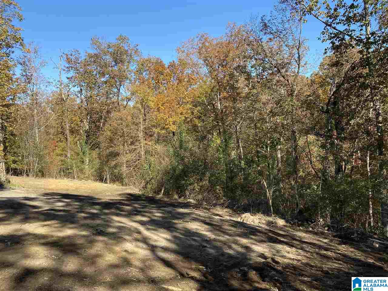 3752 County Road 331 Chelsea, AL 35043 - Photo 5 of 10