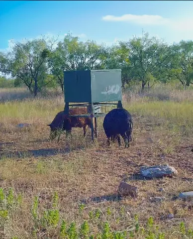 a view of a lake view