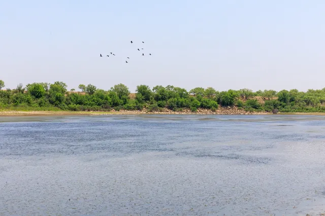 a backyard of a house