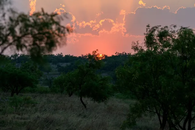 a view of outdoor space and yard